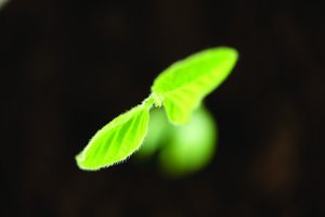 内容电商的产品推广实战指南